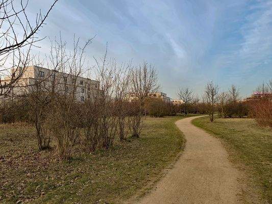 Weg durch den Bayangolpark