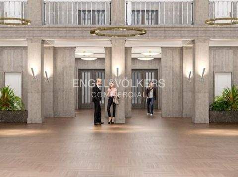 Berlin Halle, Berlin Hallenfläche