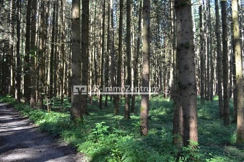 Kaufering Bauernhöfe, Landwirtschaft, Kaufering Forstwirtschaft