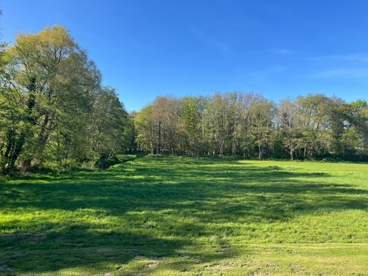 Blick vom Balkon