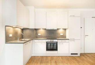 moderne Einbauküche