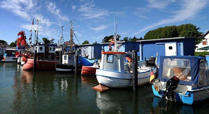 Niendorfer Hafen Fischerboote