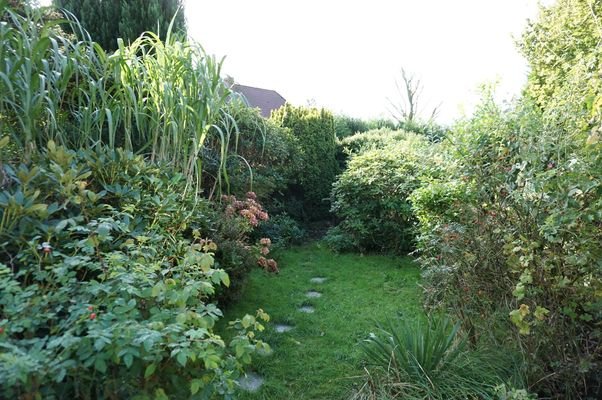Bild 14