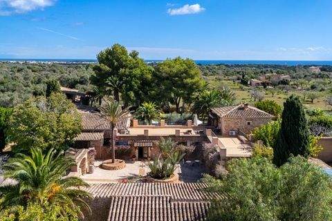 Portocolom Gastronomie, Pacht, Gaststätten