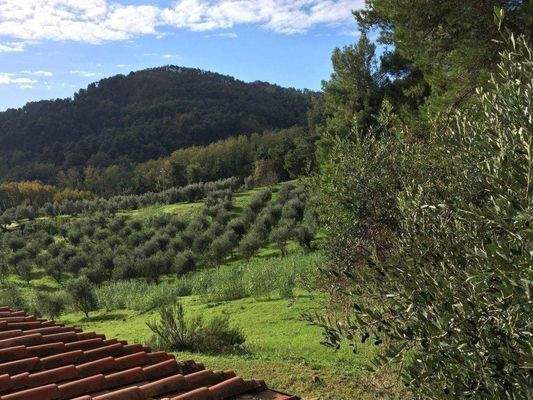 Natursteinhaus Toskana (10).jpg