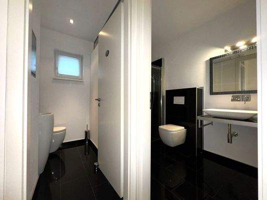 Guest toilet and shower bathroom