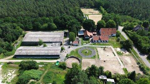 Dickel , Kr Diepholz Bauernhöfe, Landwirtschaft, Dickel , Kr Diepholz Forstwirtschaft