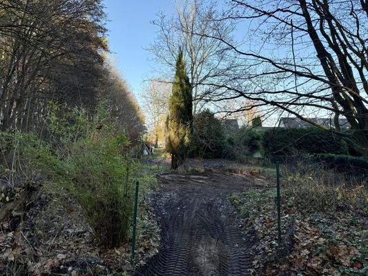 Gestalten Sie Ihren Garten