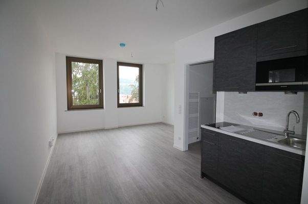 Wohn-Koch-Schlafbereich (1)