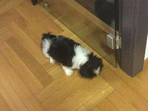 Milow Häuser, Milow Haus kaufen