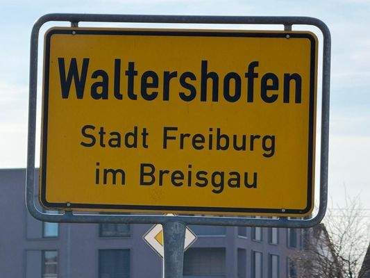 WhatsApp Image 2026-02-25 at 15.35.25 (1)