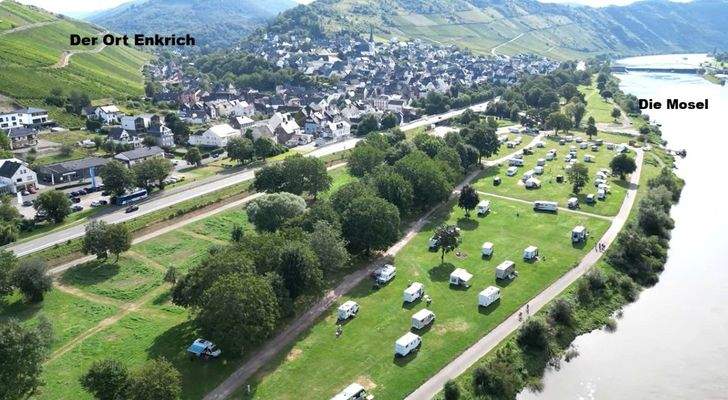 Der Ort Enkirch an der Mosel 