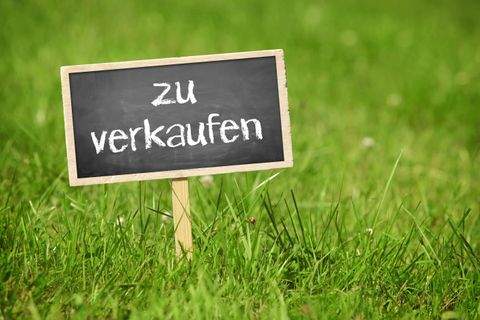 Ebrach Bauernhöfe, Landwirtschaft, Ebrach Forstwirtschaft