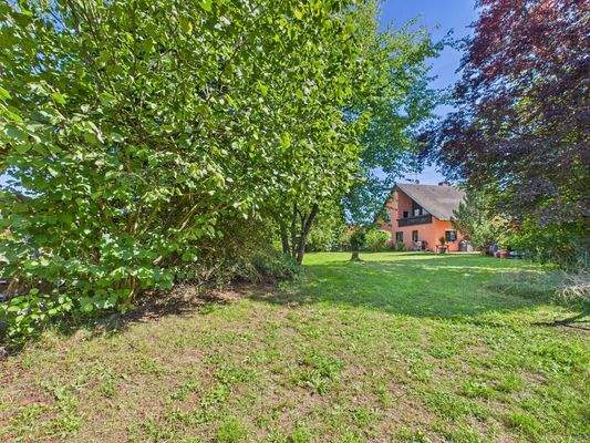 Weitläufiger Garten II 