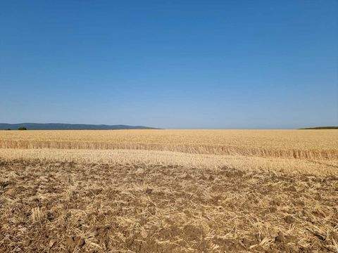Tankovo Grundstücke, Tankovo Grundstück kaufen
