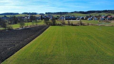 Kammeltal Bauernhöfe, Landwirtschaft, Kammeltal Forstwirtschaft