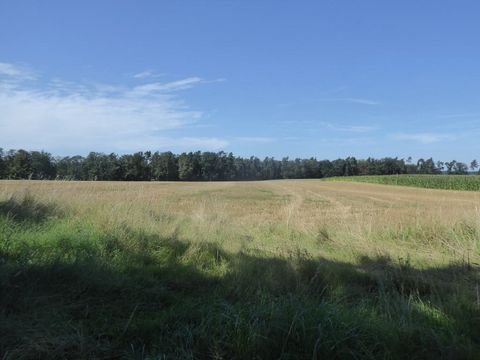 Burghaslach Umgebung Bauernhöfe, Landwirtschaft, Burghaslach Umgebung Forstwirtschaft