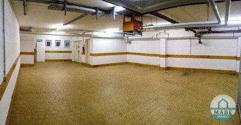 Dresden Halle, Dresden Hallenfläche