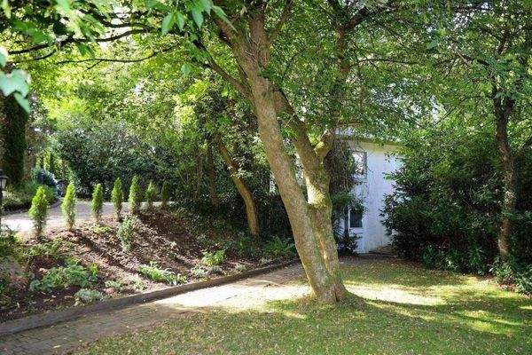 Blick zum Apartment+ Garagenhaus