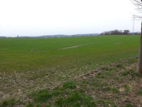 Witten Bauernhöfe, Landwirtschaft, Witten Forstwirtschaft