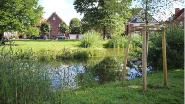 Nahegelegener "Ententeich"