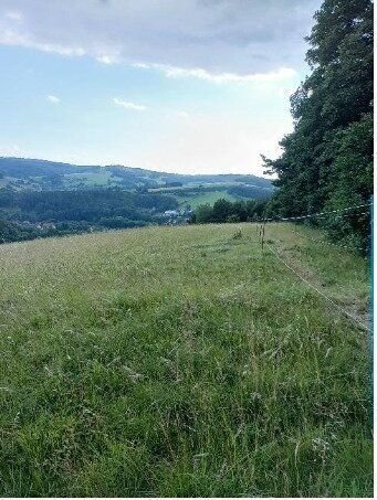 Neulengbach Grundstücke, Neulengbach Grundstück kaufen