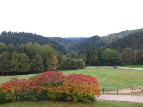 Vilshofen an der Donau Gastronomie, Pacht, Gaststätten