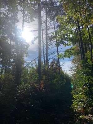 Steinberg am See (25).jpeg