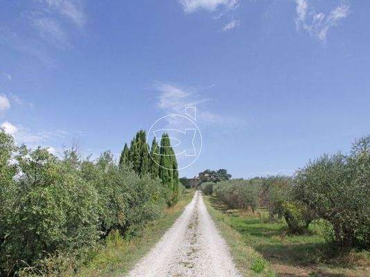 Repräsentatives Anwesen | Sinalunga