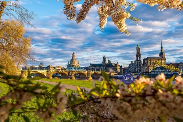 1-Dresden-Leben wo andere Urlaub machen-9323-.jpg