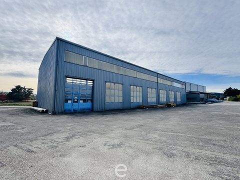 Schlatt Halle, Schlatt Hallenfläche