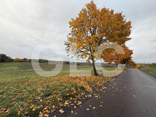 Ansicht Grundstück Schafgasse