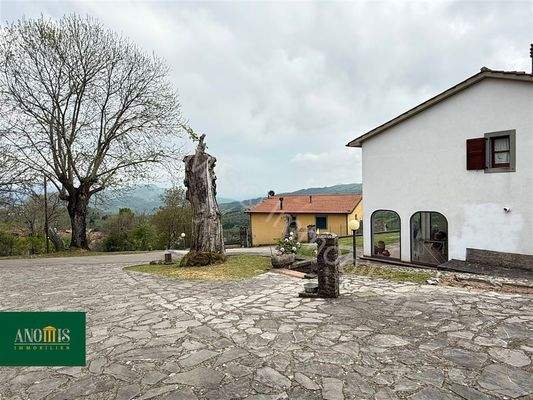 Einfamilienhaus mit 1 Hektar Kastanienwald