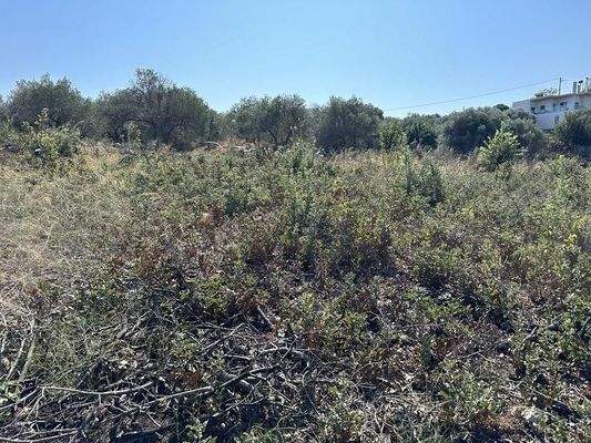 Kreta, Gallos: Erstklassiges Grundstück mit Meerblick zu verkaufen