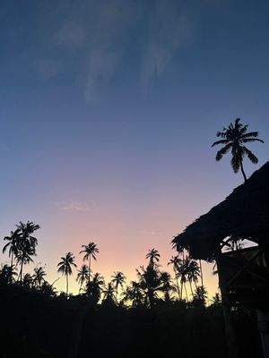 Abenddämmerung auf dem Grundstück