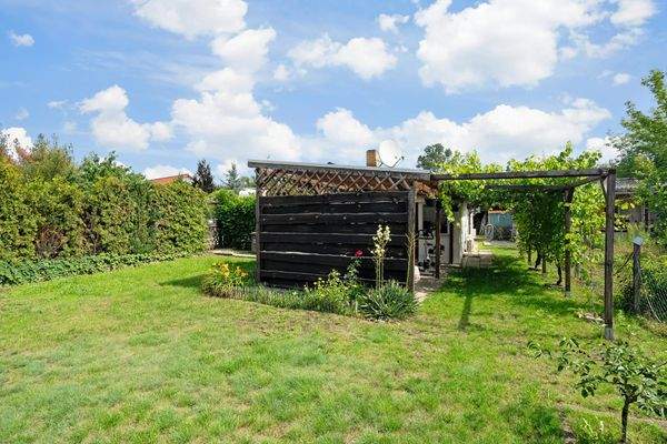 Obstbäume auf dem Grundstück