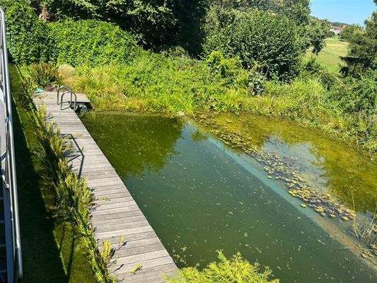 PHOTO-2025-08-09-15-14-00 9