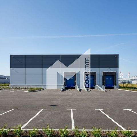 Bergheim Halle, Bergheim Hallenfläche