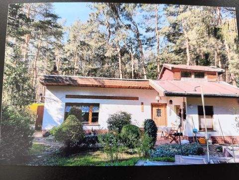 Glaucha Häuser, Glaucha Haus kaufen