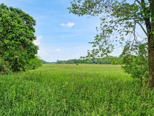 Blick über die Hausweiden 