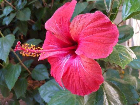 better feeling Immobilien 