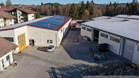 Füssen Halle, Füssen Hallenfläche