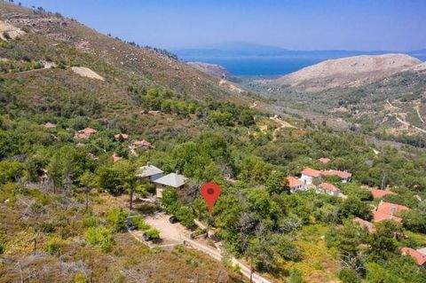 Thassos, Mikro Kazaviti Grundstücke, Thassos, Mikro Kazaviti Grundstück kaufen