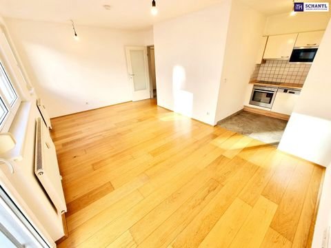 Wien Wohnungen, Wien Wohnung kaufen