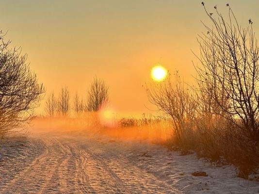 Verschneiter Wanderweg in Nisdorf
