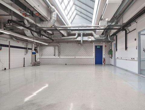 Frickenhausen Halle, Frickenhausen Hallenfläche