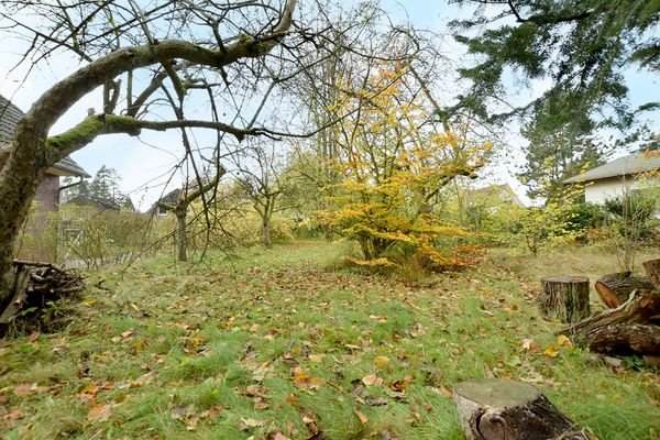 Bäume und Büsche sind vor Neubebauung zu roden