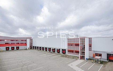 Bremen Halle, Bremen Hallenfläche