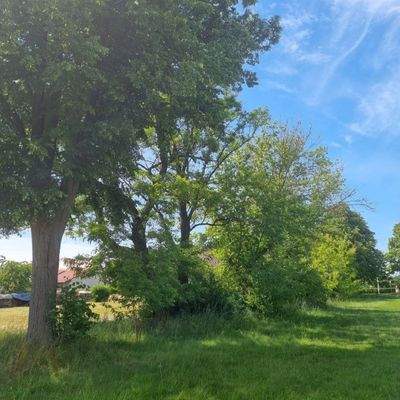 Baugrundstück Bild 6