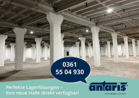 Lager (1)